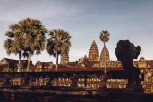 Silhouetted view of ancient Angkor Wat temple with distinctive towers and surrounding palm trees at sunset in Cambodia.
