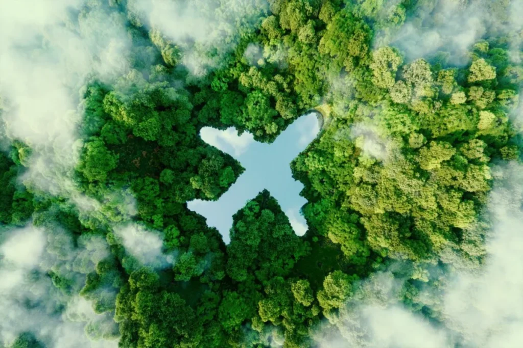 Aerial view of a dense forest with a plane-shaped clearing surrounded by mist.