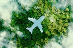 Aerial view of a dense forest with a plane-shaped clearing surrounded by mist.