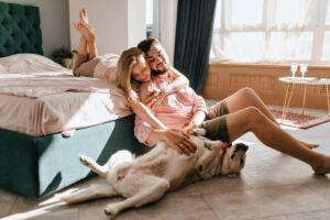 How to Find the Best Pet-Friendly Accommodations
