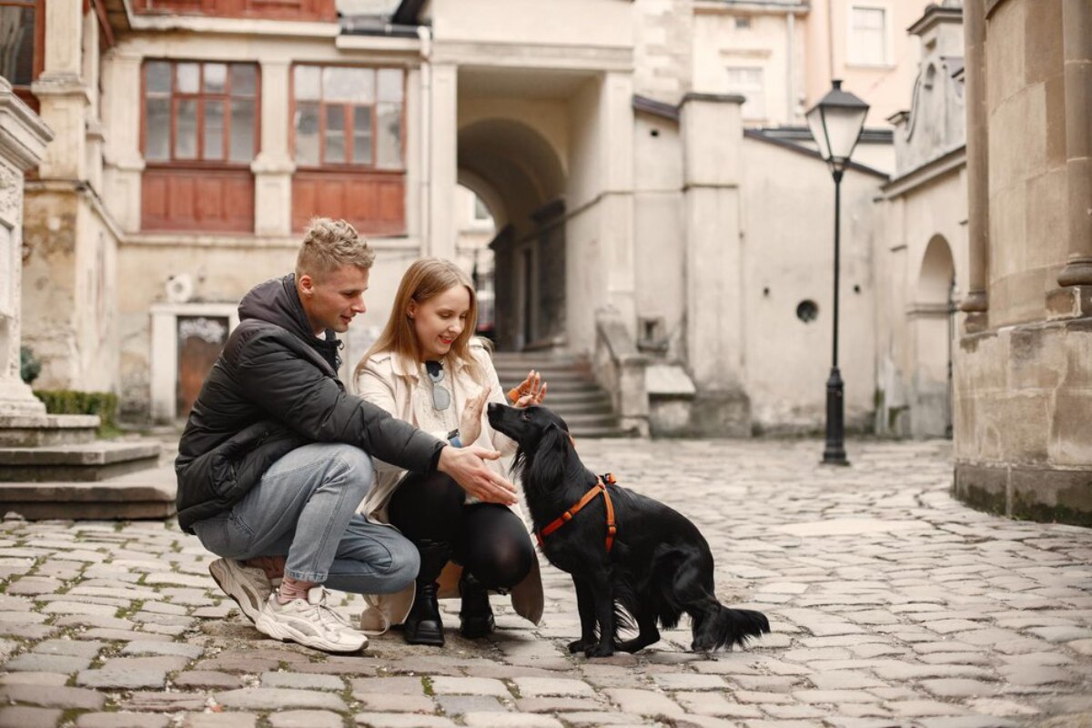 A couple interacts with a black dog on a cobblestone street in a quaint old town.